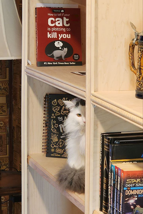 Gwen plotting to kill me