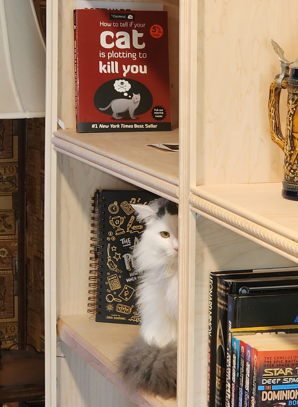 White house cat sitting on a bookcase beneath a humorous cat book, representing pet insurance for Indiana pet owners